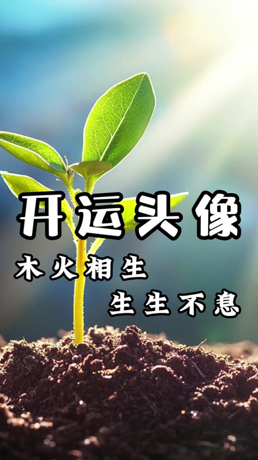 喜水木为用截图
