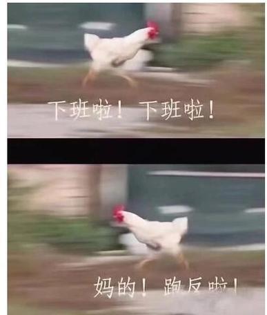 下班了搞笑视频