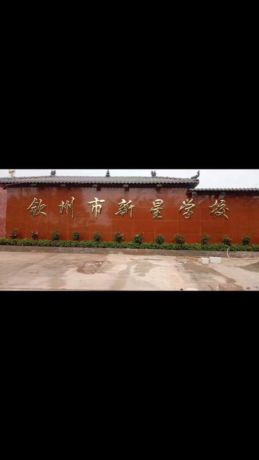 新星学校学费多少
