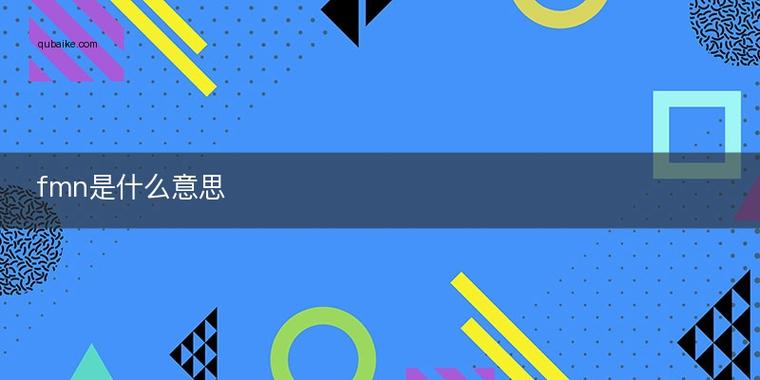 fmn的中文名称是什么图标