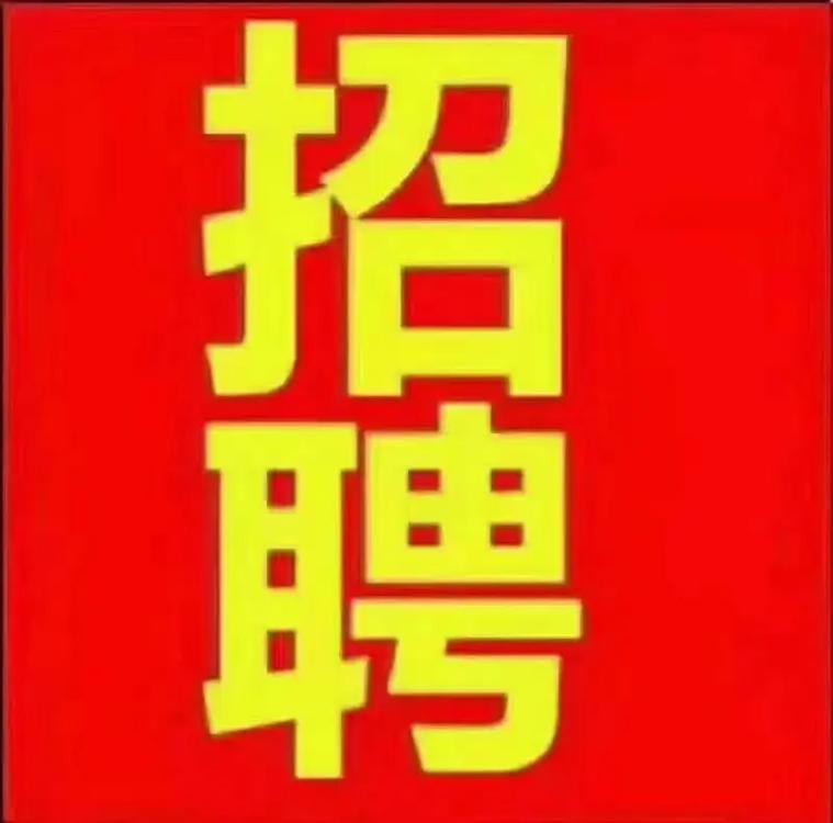 河北胜芳大杂烩招聘网