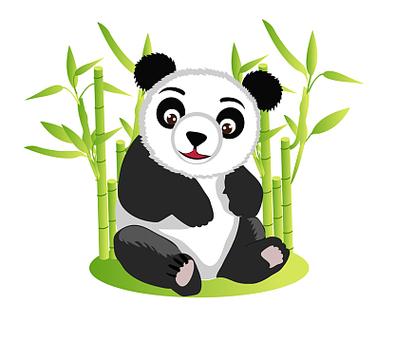 大熊小清新直播间