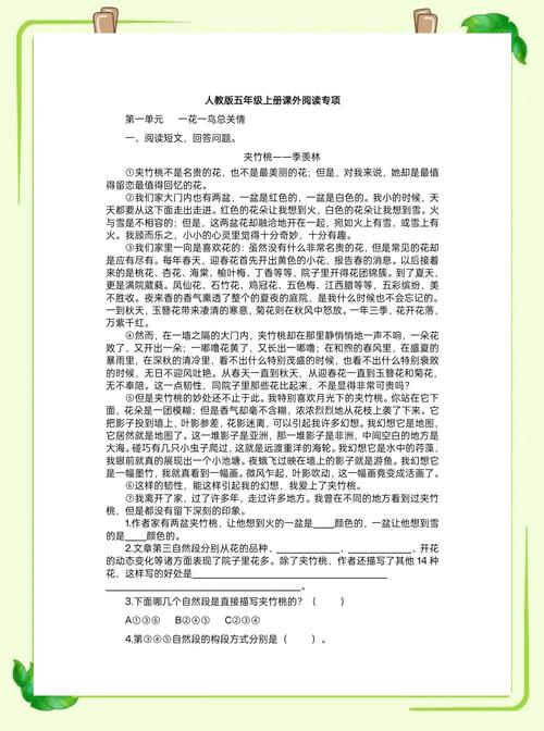 阅读题昂贵的哨子