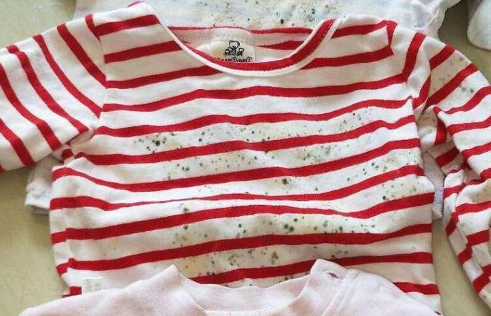 衣服上红色的霉菌