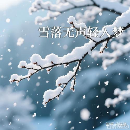 雪落下的声音故事含义截图