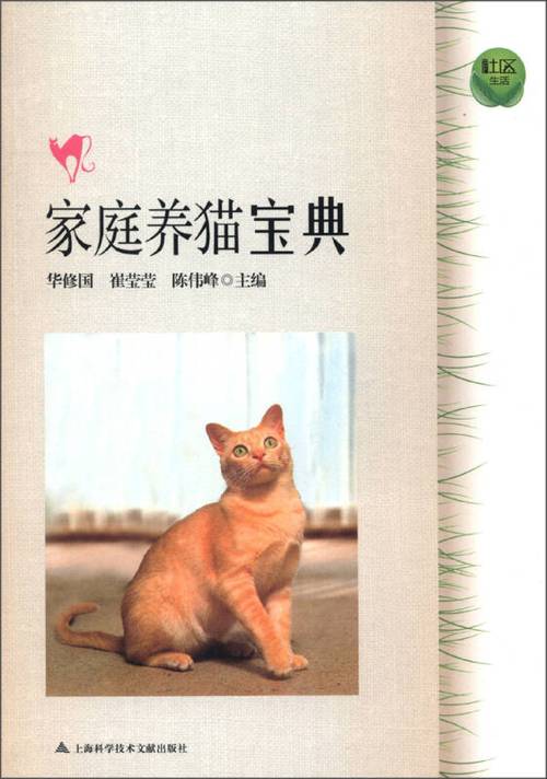 ౪ᩚ゜猫咪字符可复制
