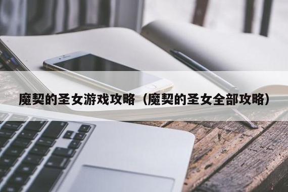 魔契的圣女虐菜大礼包密码