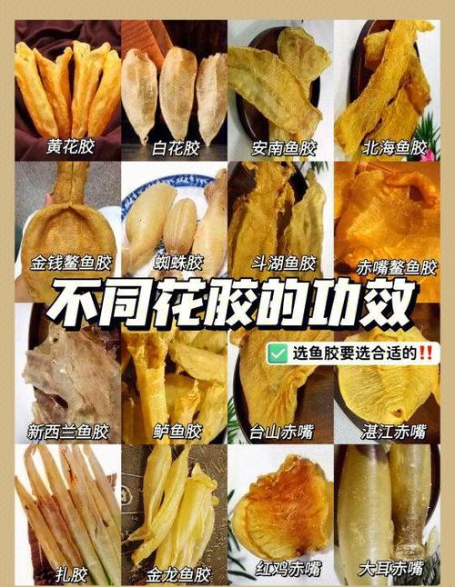 明胶的功效与作用缩略图