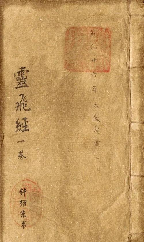 斗破之青帝木皇功