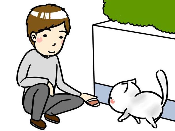 流浪猫漫画免费观看