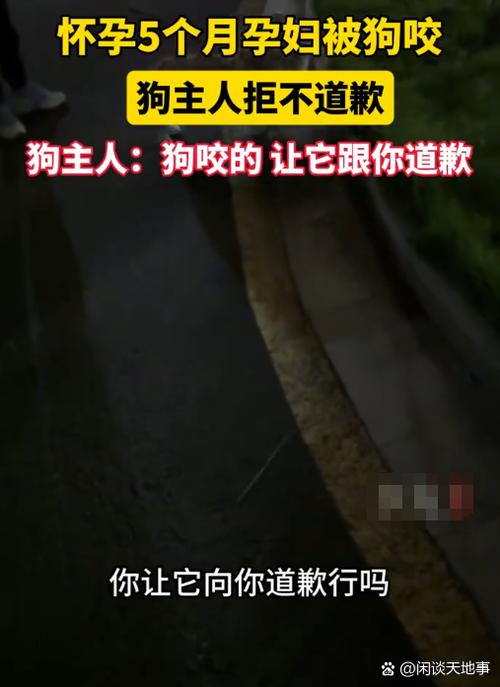 狗一直跟着孕妇暗示什么