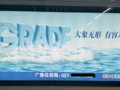 天山生物大象广告最新消息