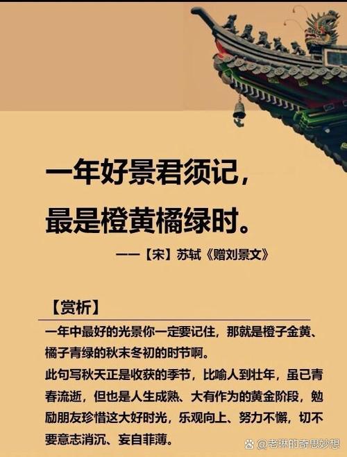 橙黄的隐晦含义