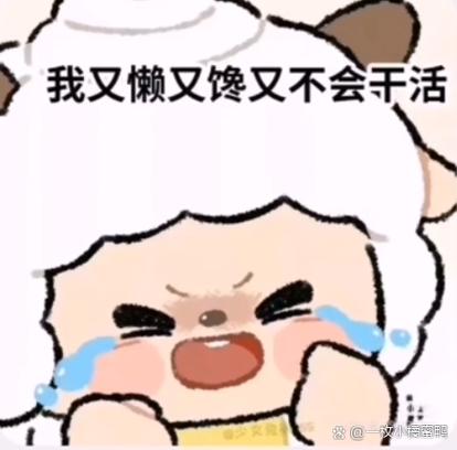 我好懒怎么办