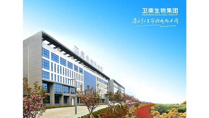 山东卫康直销最厉害三个地方
