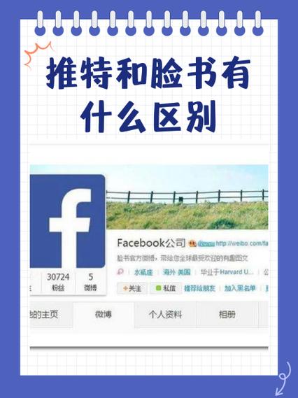 国内脸书怎么登录不了图标
