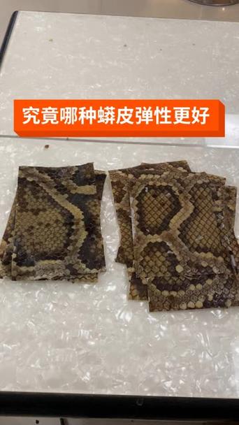 蟒蛇皮真假判断