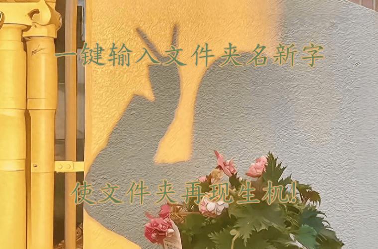 文件夹取名字好听