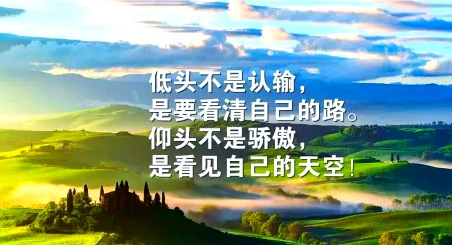 人生感悟语录100句缩略图