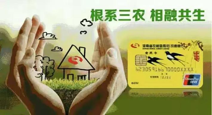 免费二合一收款码