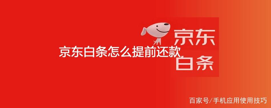 京东白条可以分期还款吗缩略图
