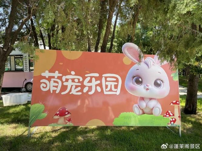 宠物乐园为什么不建议开