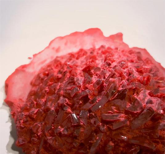 我的世界憎恶血肉vS觉悟血肉阿米诺斯