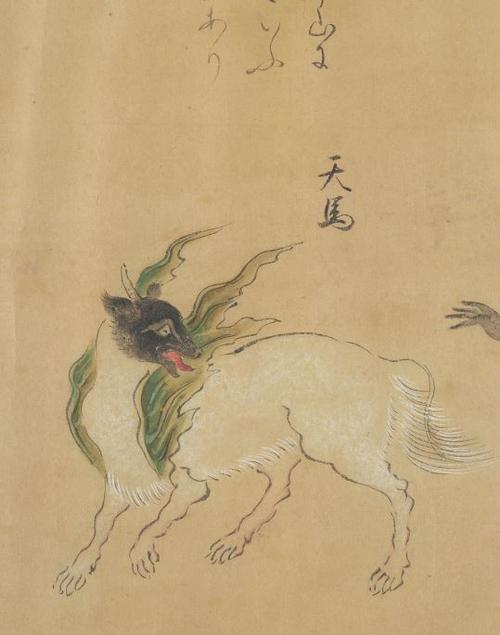 天马山海经