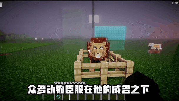 我的世界动物生长速度指令图标