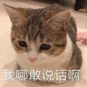 憋屈的表情包