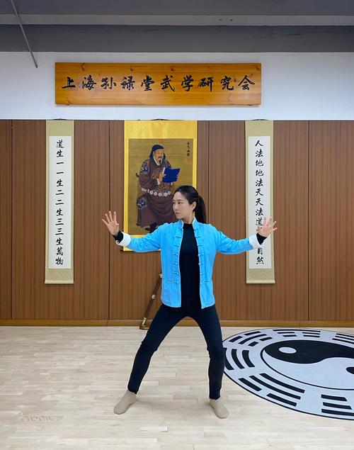 万文德太极拳视频