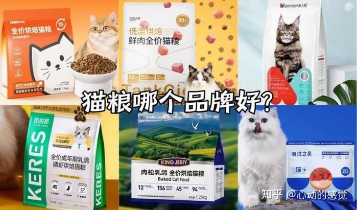 山东猫粮好还是河北的