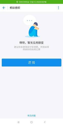 为什么按时还款却不能借款了截图