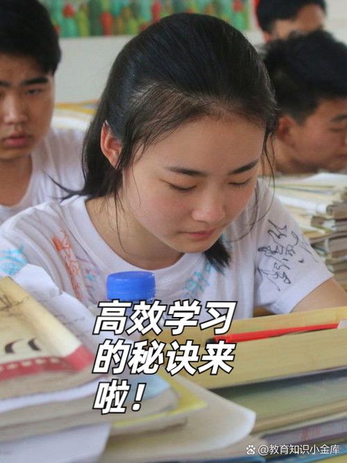 精力不足吃什么药补最快游戏截图