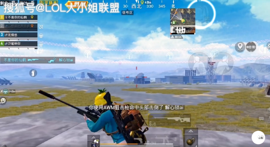 和平精英Ak仙鹤