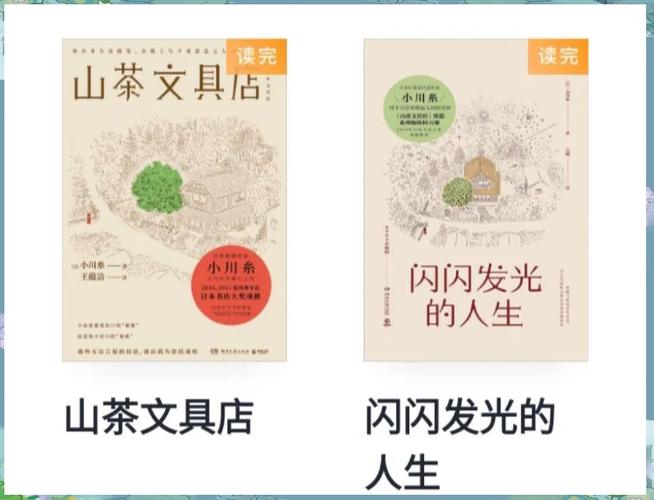 闪闪发光小说目录全文阅读