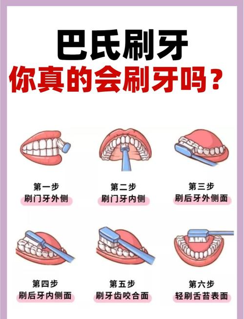 成人正确刷牙视频教程截图