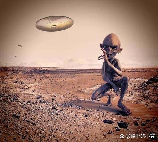 不夜星球骗术最厉害三个阶段