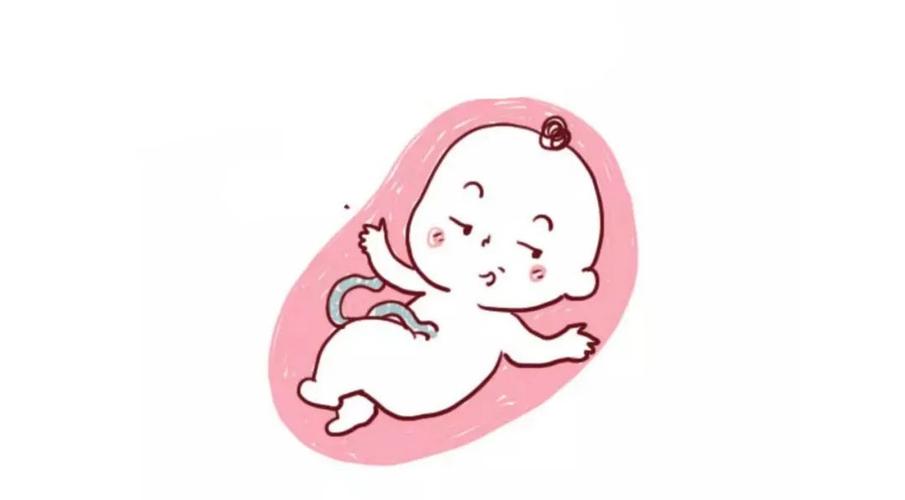 孕妇睡着了胎儿在干嘛