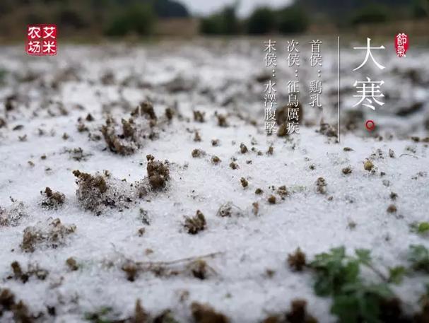 艾米农场会员收费多少