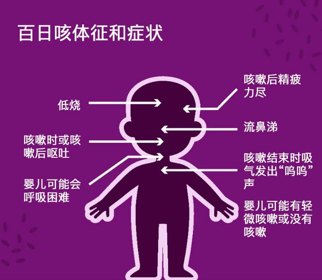 婴儿反复喘息的原因