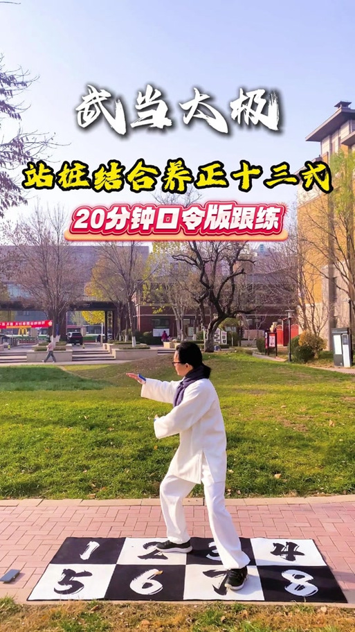 站桩20分钟完整版口令