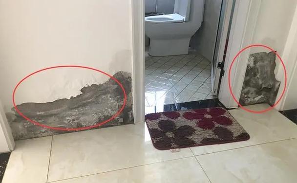 靠近卫生间墙壁返潮掉皮怎么办截图
