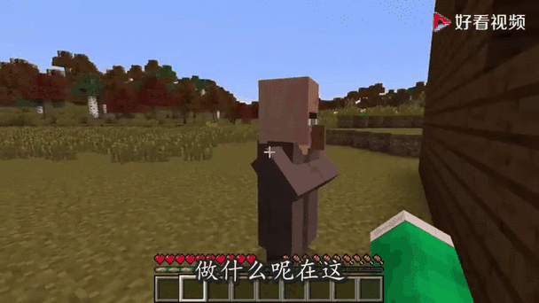 MC在男女之间代表什么