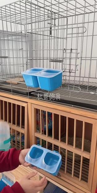 鸽盒子叫什么缩略图