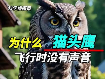 科学猫头鹰