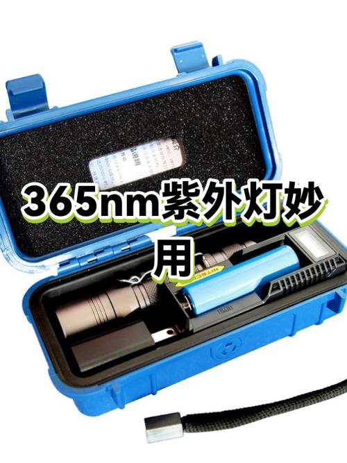 紫光灯手机能设置出来吗