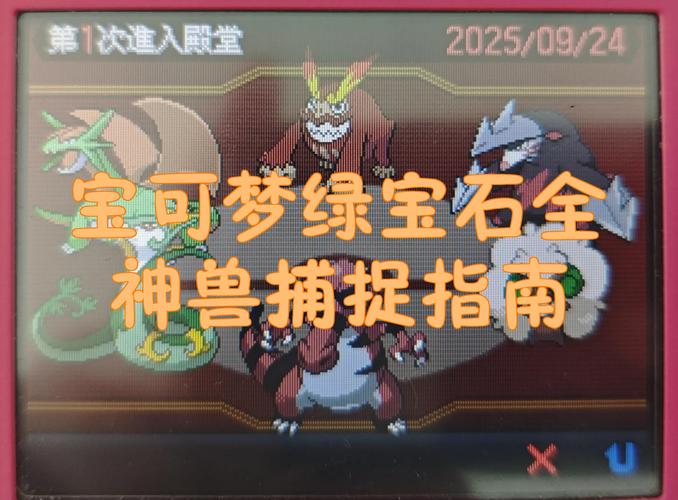 究极绿宝石拉达在哪抓图标