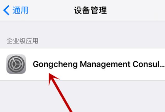 怎么在ipad上安装第三方软件截图