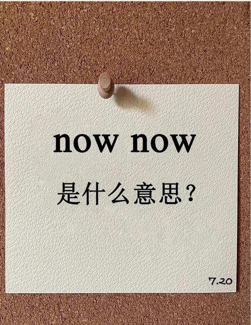 noway什么意思截图